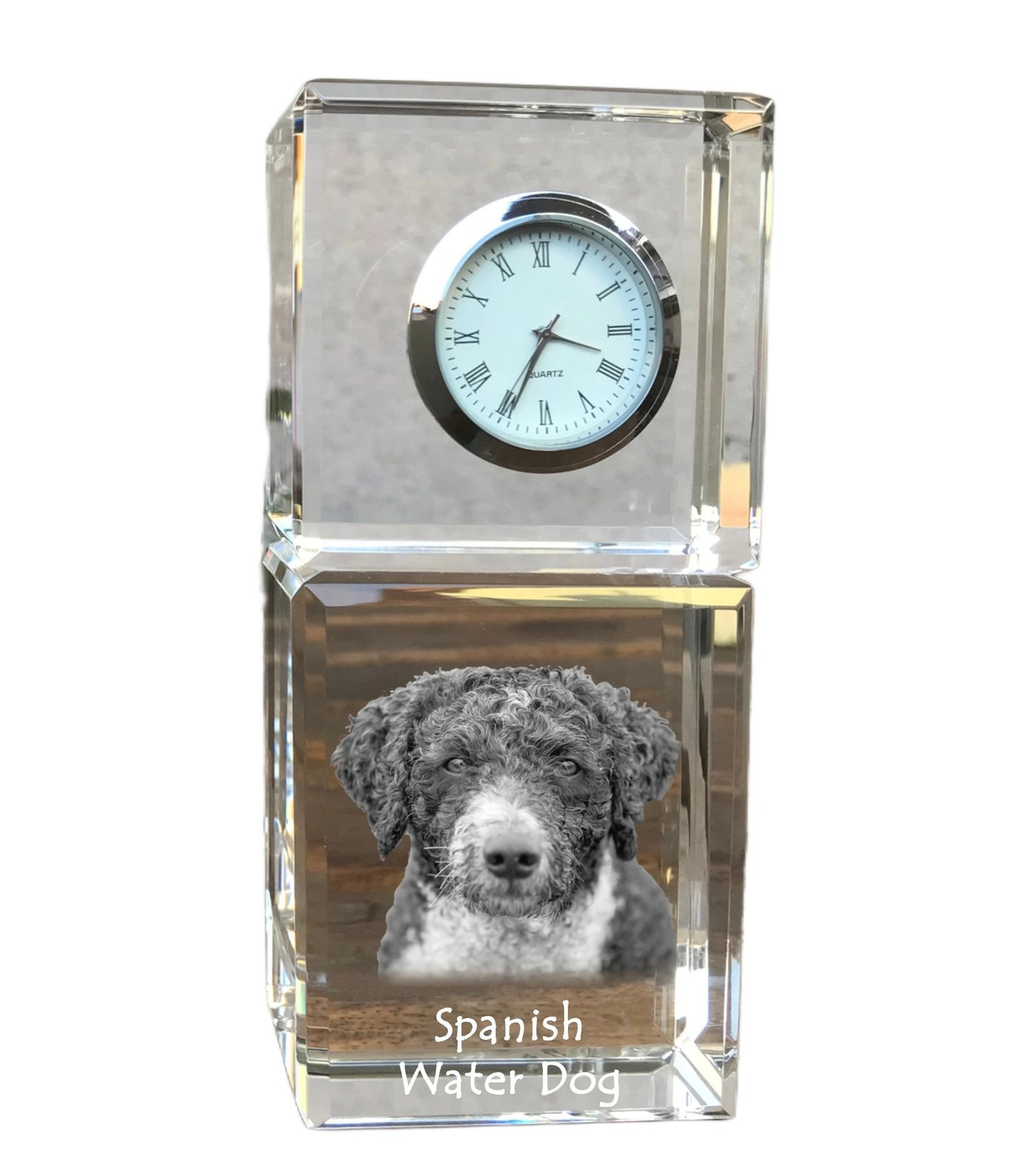 1-555.jpeg