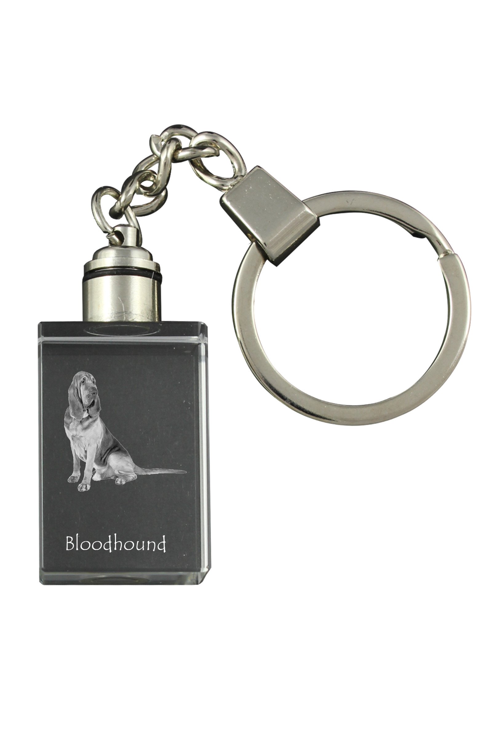 1-6101.jpg