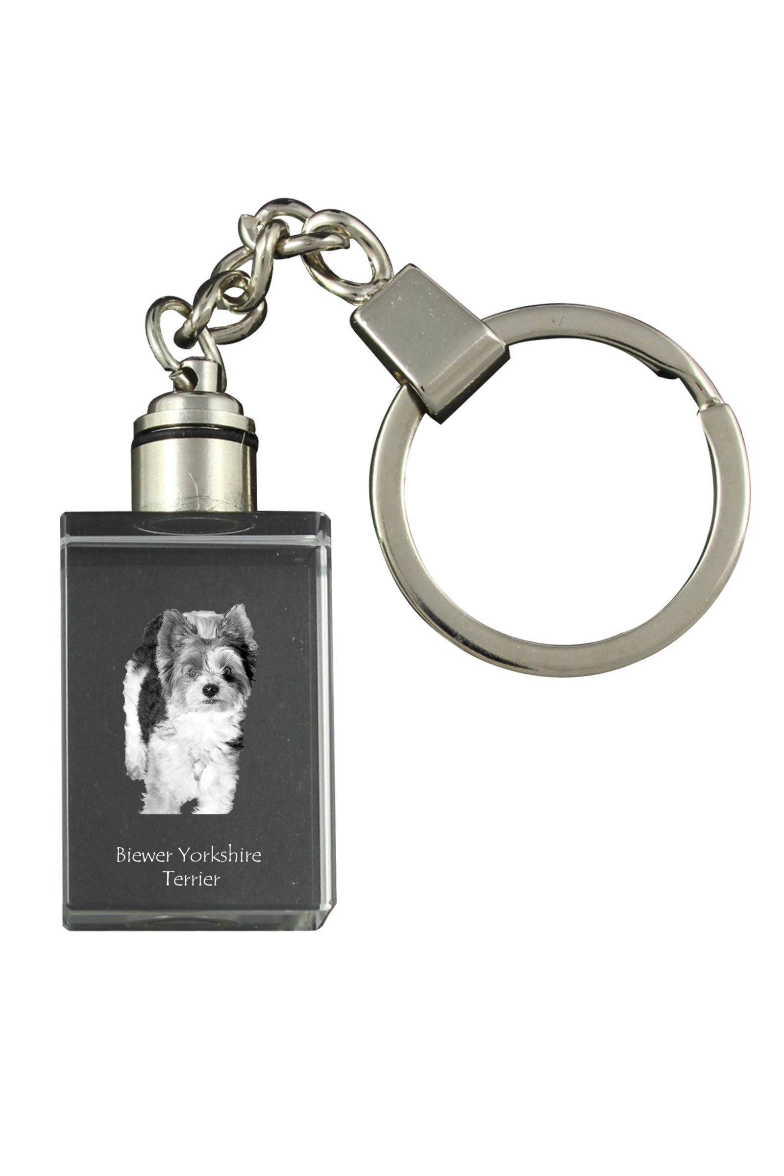 1-6247.jpg