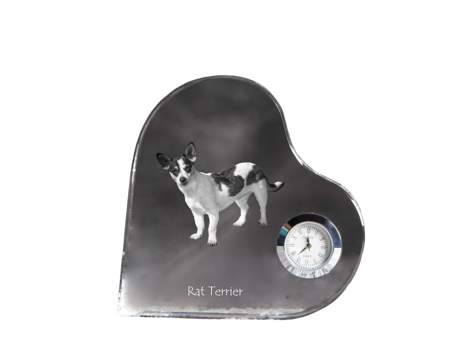 1-8490.jpg